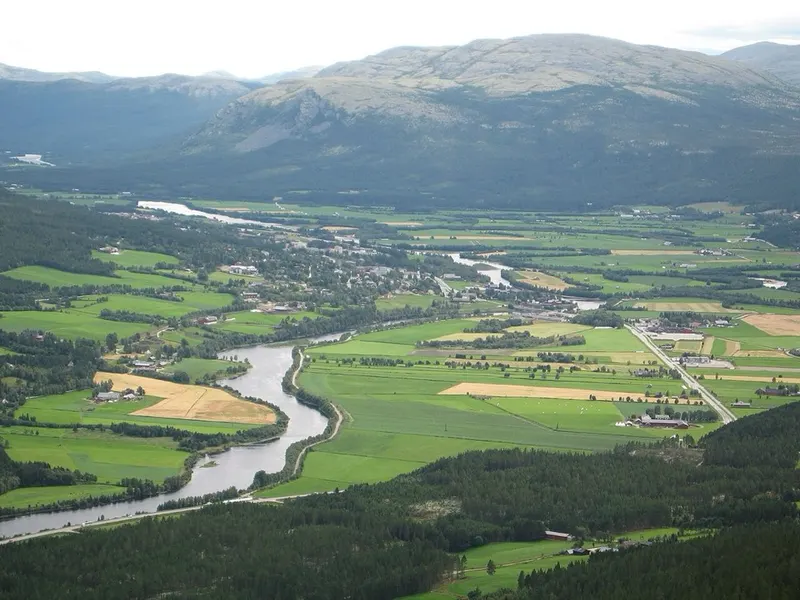From Alvdal. The picture does not show the market itself.
