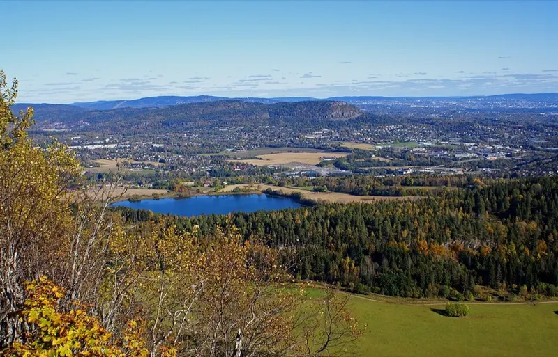 From Bærum. The picture does not show the market itself.