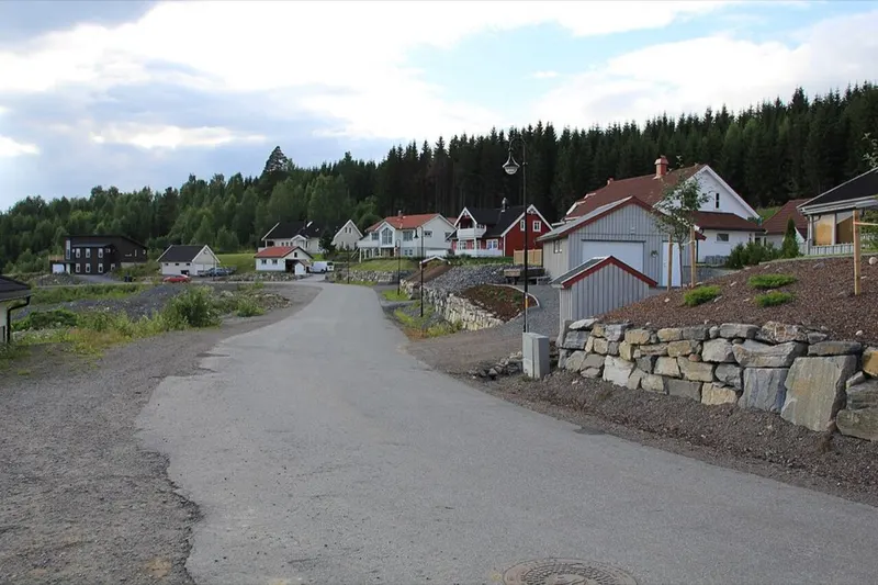 From Gjøvik. The picture does not show the market itself.