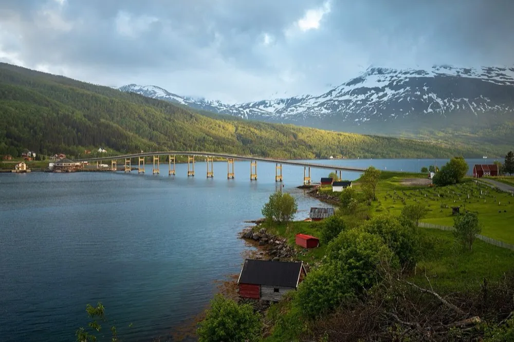 From Gratangen. The picture does not show the market itself.