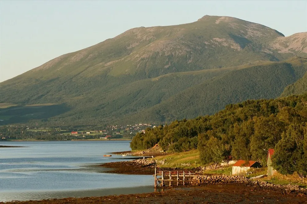From Hustadvika. The picture does not show the market itself.
