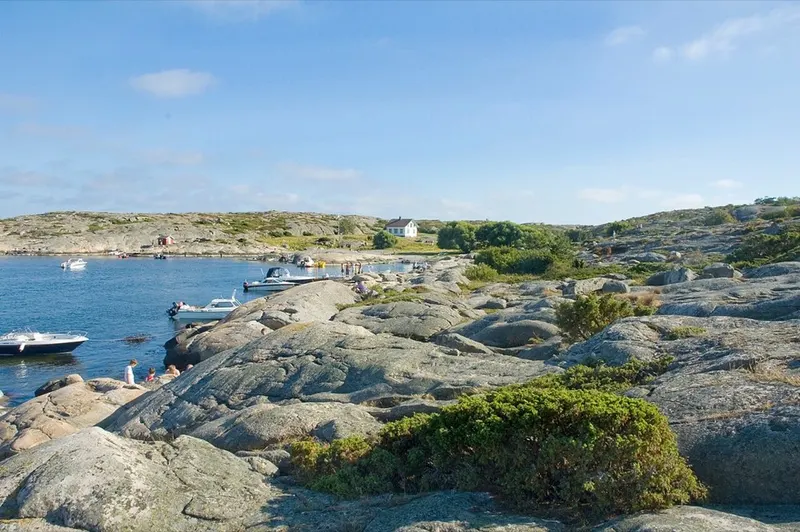 From Hvaler. The picture does not show the market itself.