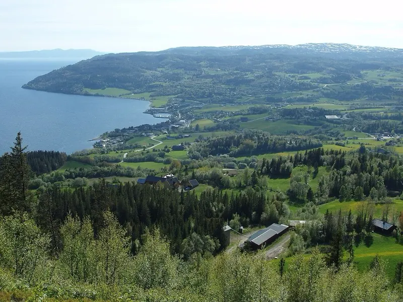 From Indre Fosen. The picture does not show the market itself.