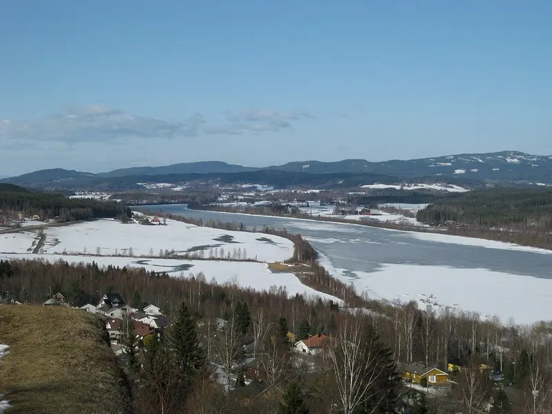 From Kongsvinger. The picture does not show the market itself.