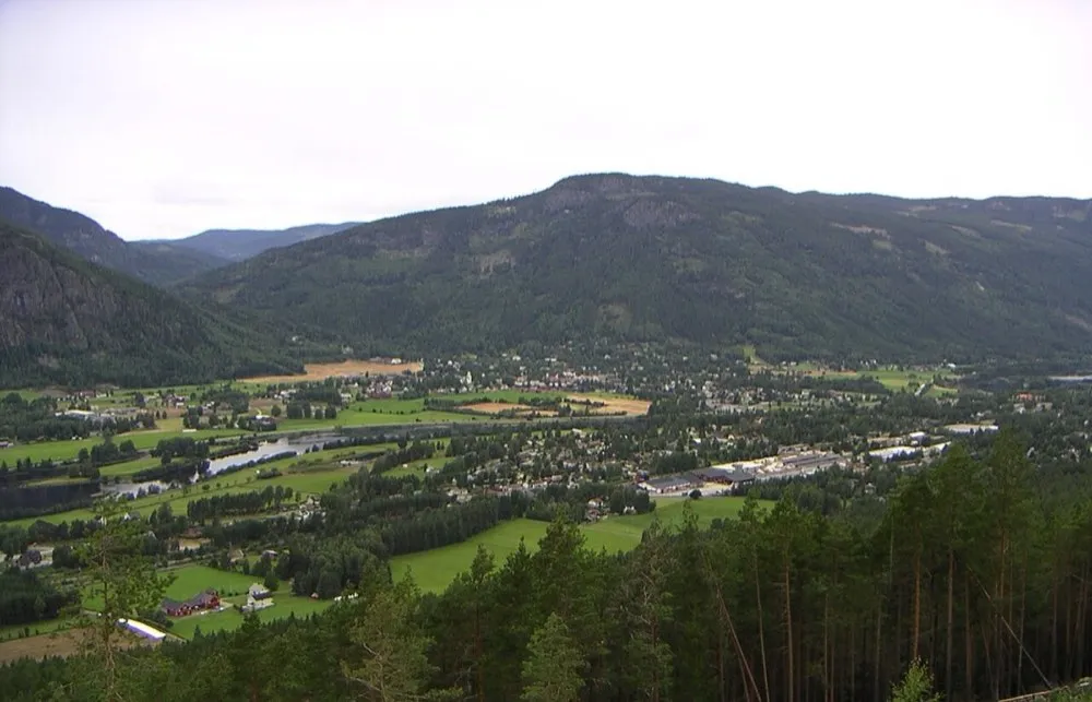 From Nesbyen. The picture does not show the market itself.