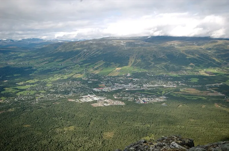 From Oppdal. The picture does not show the market itself.
