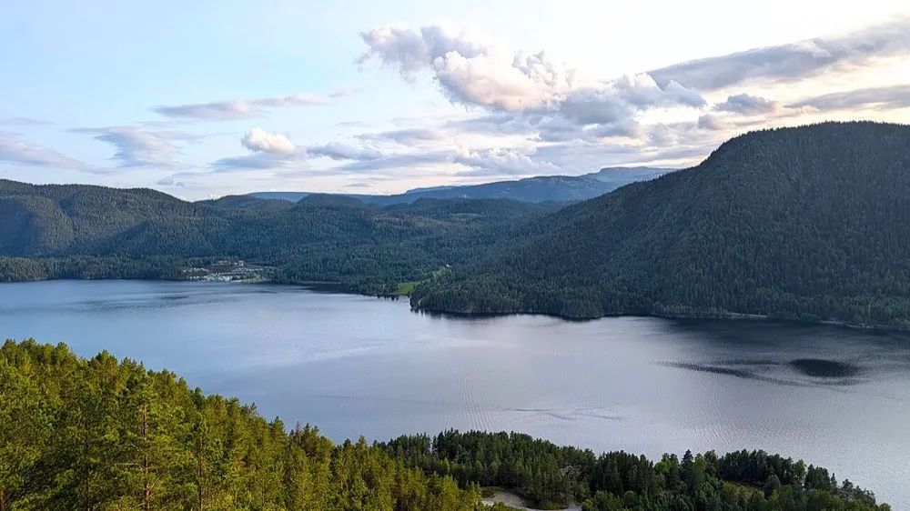 From Seljord. The picture does not show the market itself.