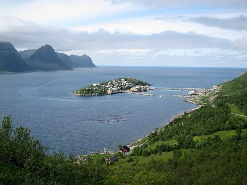 From Senja. The picture does not show the market itself.