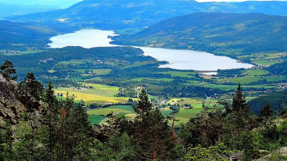 From Sigdal. The picture does not show the market itself.