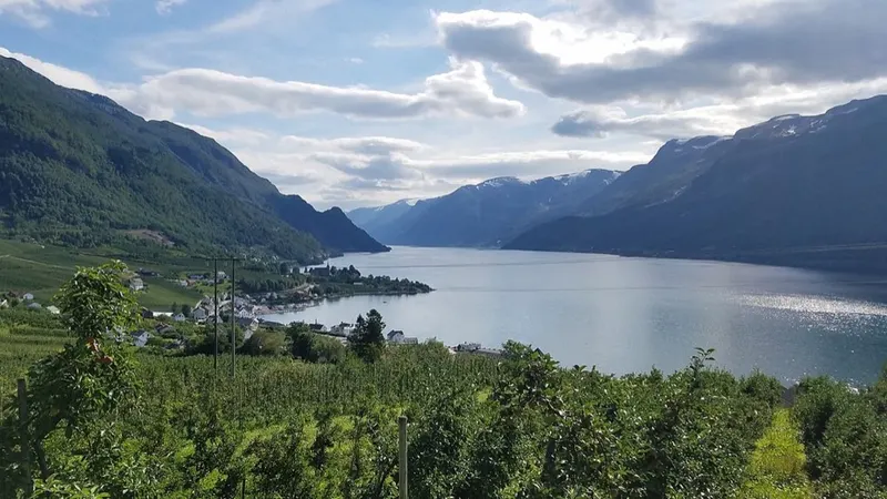 From Ullensvang. The picture does not show the market itself.
